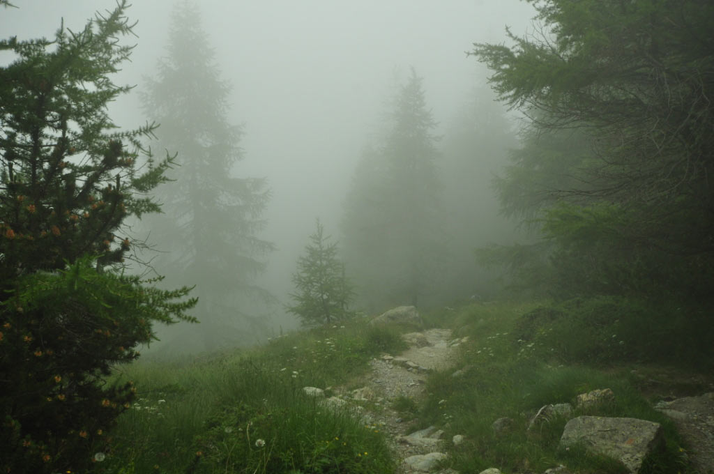 Parco Naturale Mont Avic
